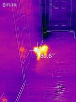Thermal image of cat in hallway.